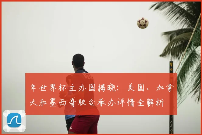 年世界杯主办国揭晓：美国、加拿大和墨西哥联合承办详情全解析