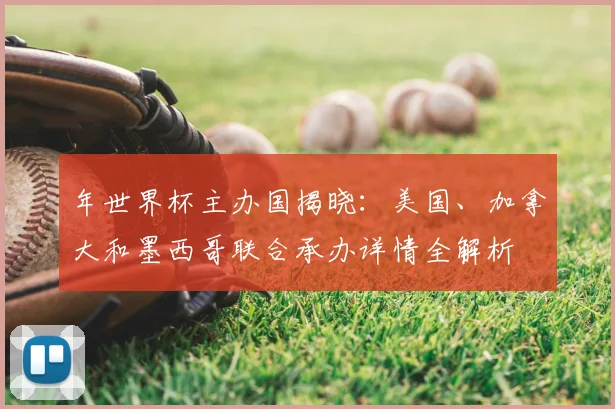 年世界杯主办国揭晓:美国、加拿大和墨西哥联合承办详情全解析