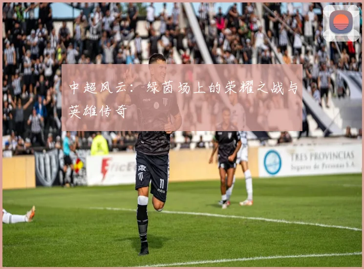 中超风云：绿茵场上的荣耀之战与英雄传奇